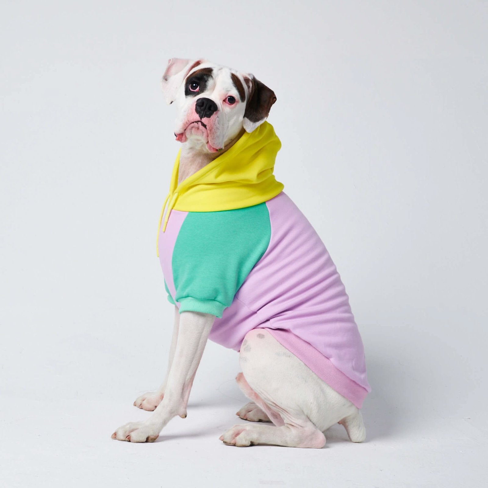 Purple Turquoise Yellow Dog Hoodie (SIZE S) - Image 6