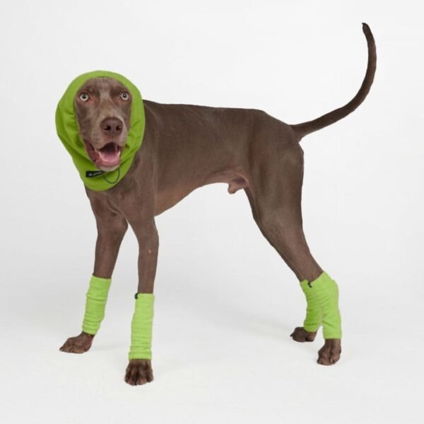 Anxiety Calming Dog Earmuff Protector - Lime - Image 3