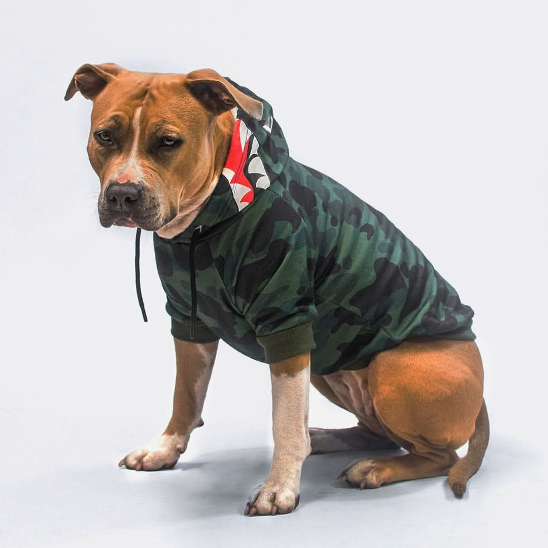 Shark Monster Dog Hoodie - Green Camo - Image 4