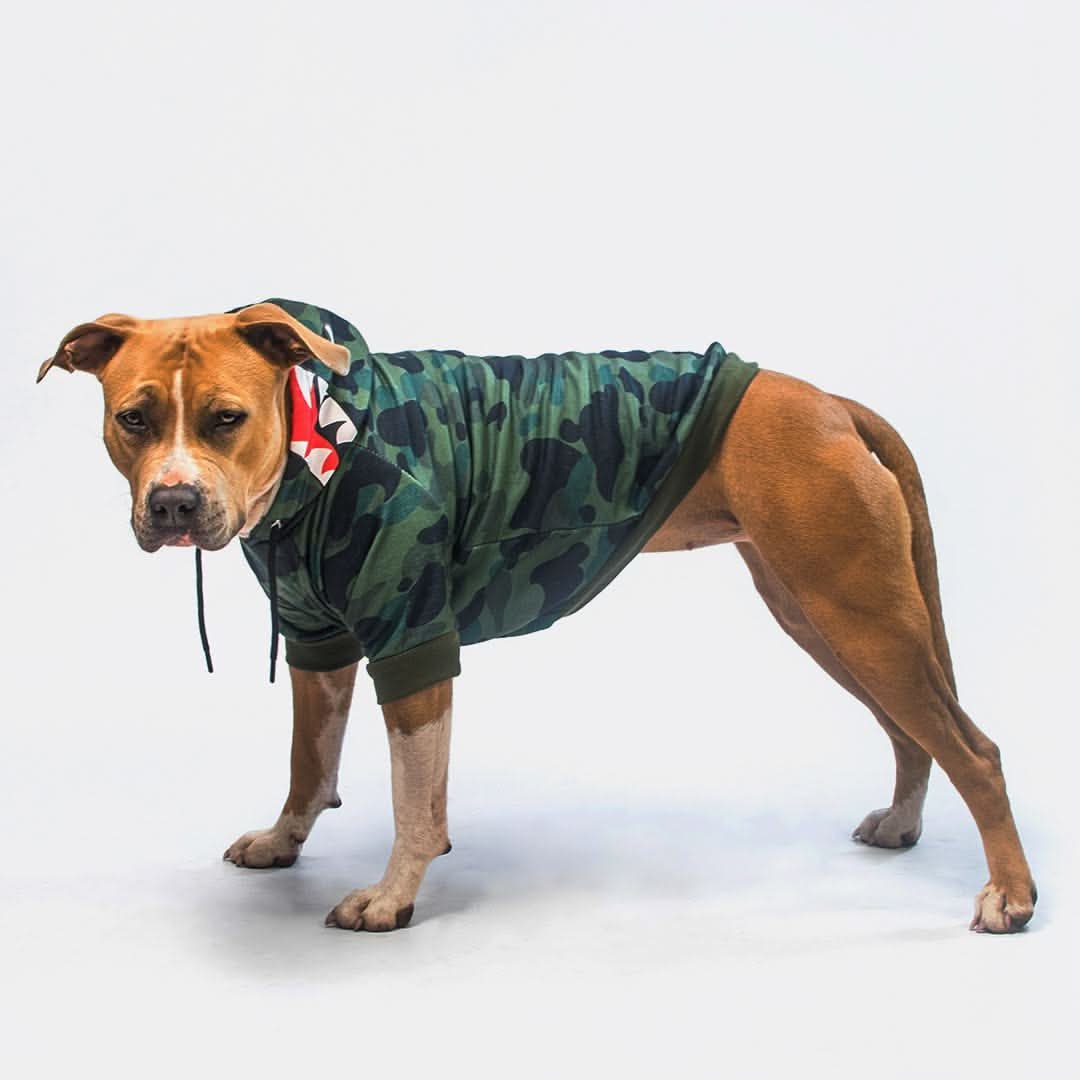 Shark Monster Dog Hoodie - Green Camo - Image 6