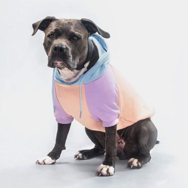 Cotton Candy Dog Hoodie - Image 3