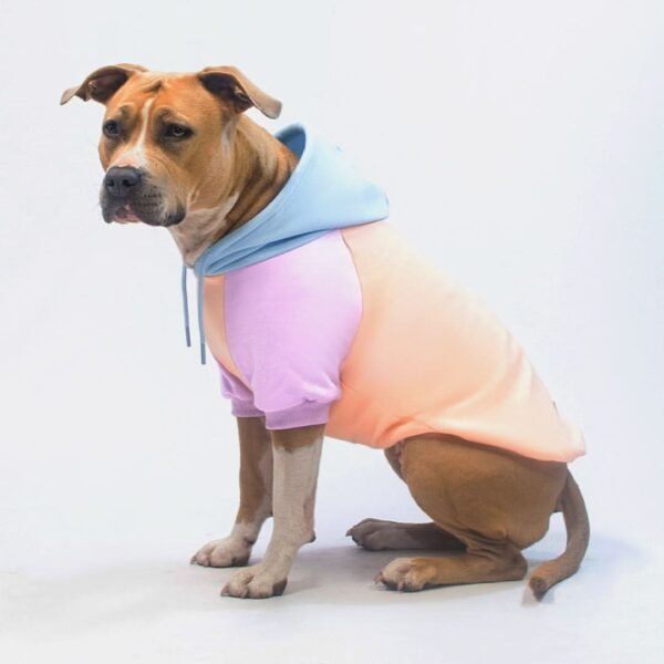 Cotton Candy Dog Hoodie - Image 6