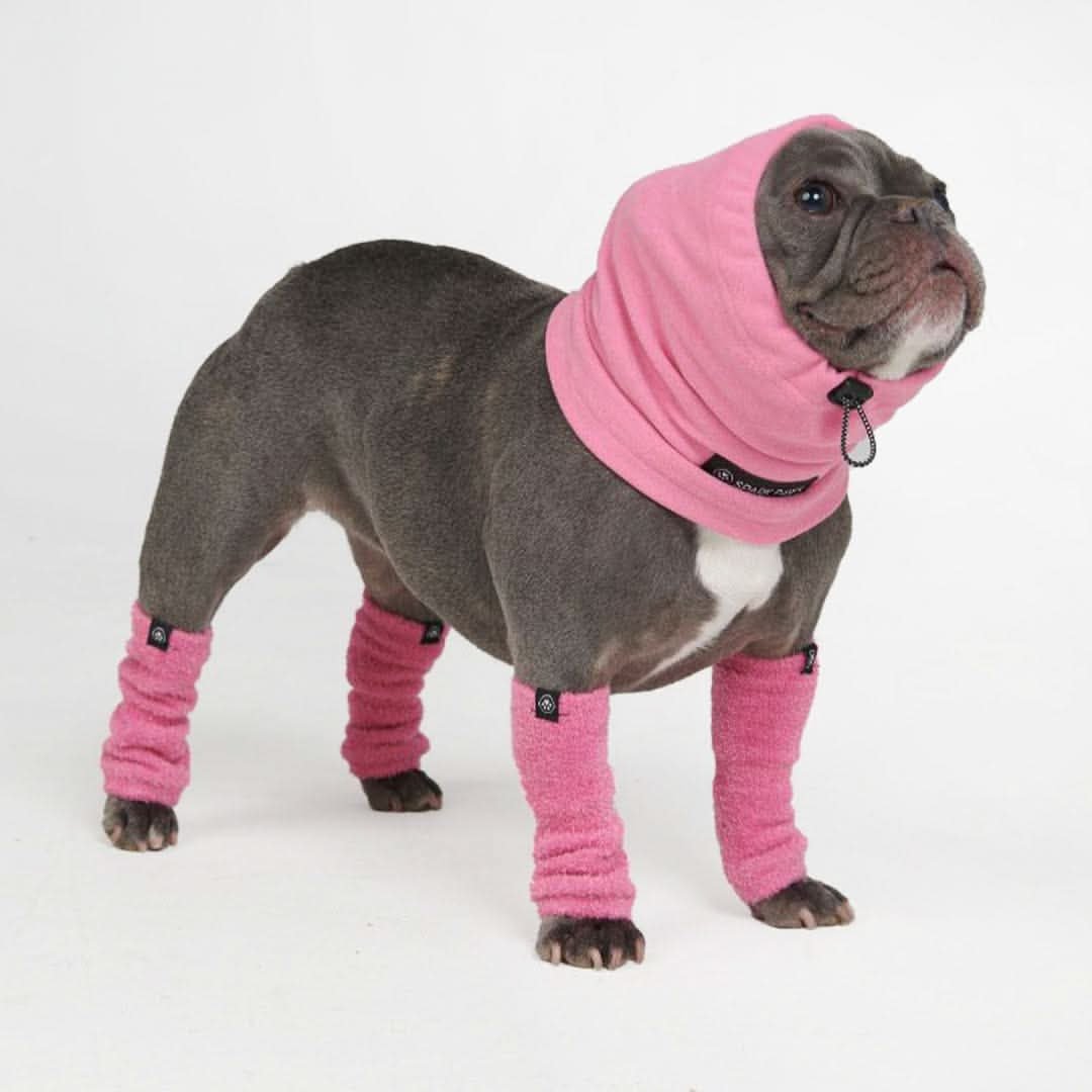 Anxiety Calming Dog Earmuff Protector - Pink - Image 2