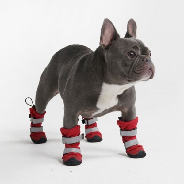 Flex Shell Water-resistant Dog Boots - Red - Image 2