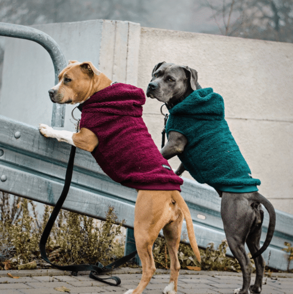 Teddy Sherpa Dog Jacket - Pine Green - Image 6
