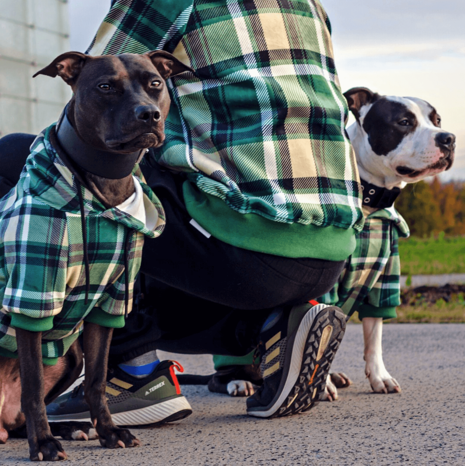 Green Plaid Dog Hoodie - Image 5