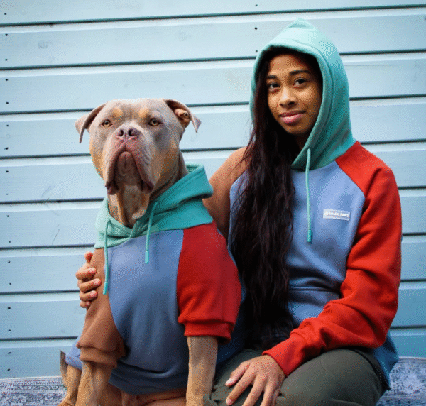 Alpine Dog Hoodie - Image 4
