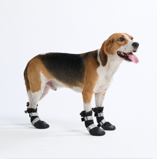 Flex Shell Water-resistant Dog Boots - Black - Image 5