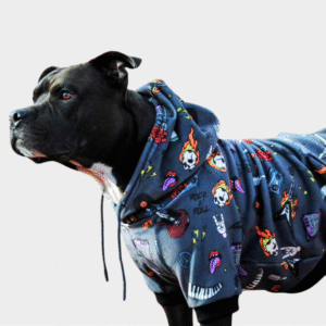 Rock and Roll Dog Hoodie