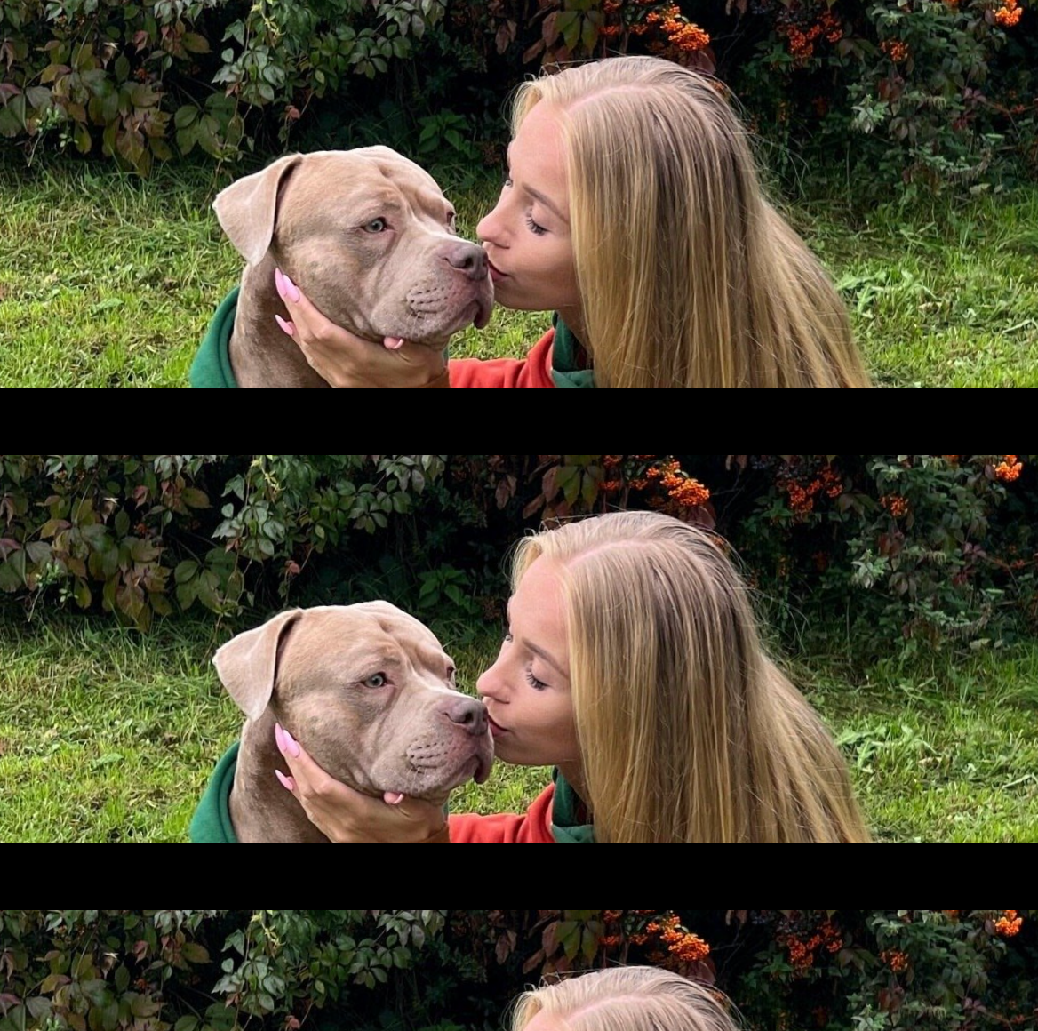 Ranger Dog Hoodie - Image 6