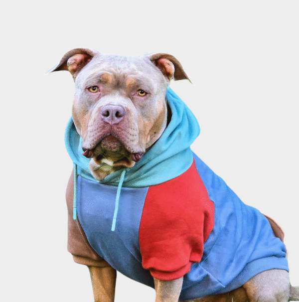 Alpine Dog Hoodie - Image 2