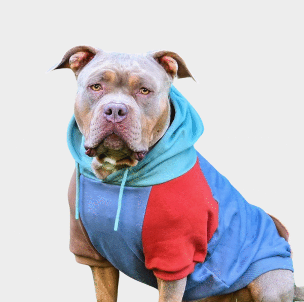 Alpine Human Hoodie - Image 3