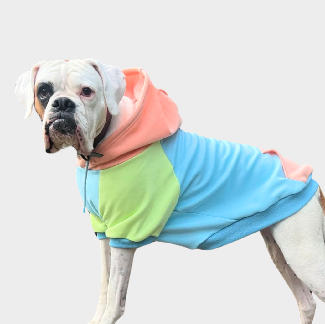 Jelly Bean Dog Hoodie - Image 2