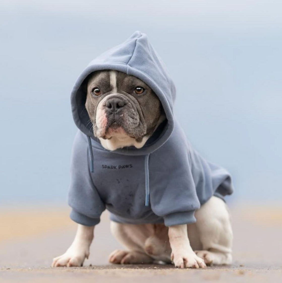 Essential Dog Hoodie - Slate Blue - Image 3