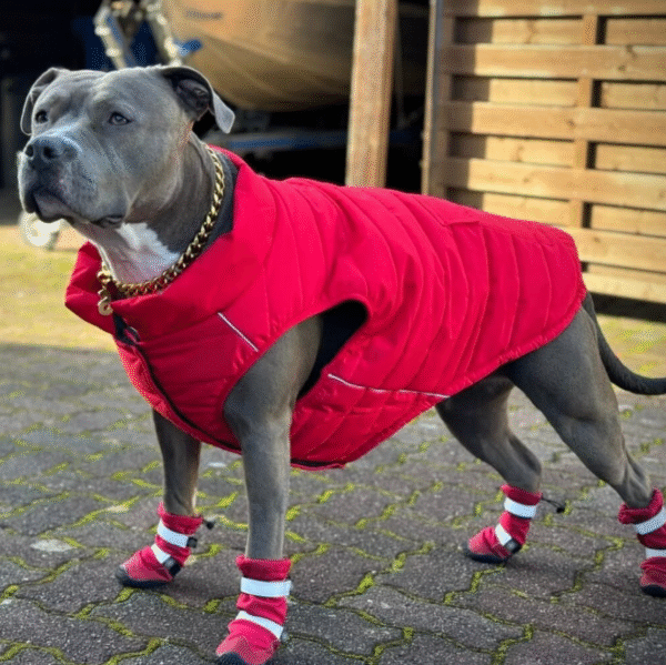 Flex Shell Water-resistant Dog Boots - Red - Image 5