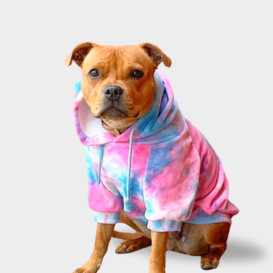 Velvet Dog Hoodie - Snow Cone - Image 2