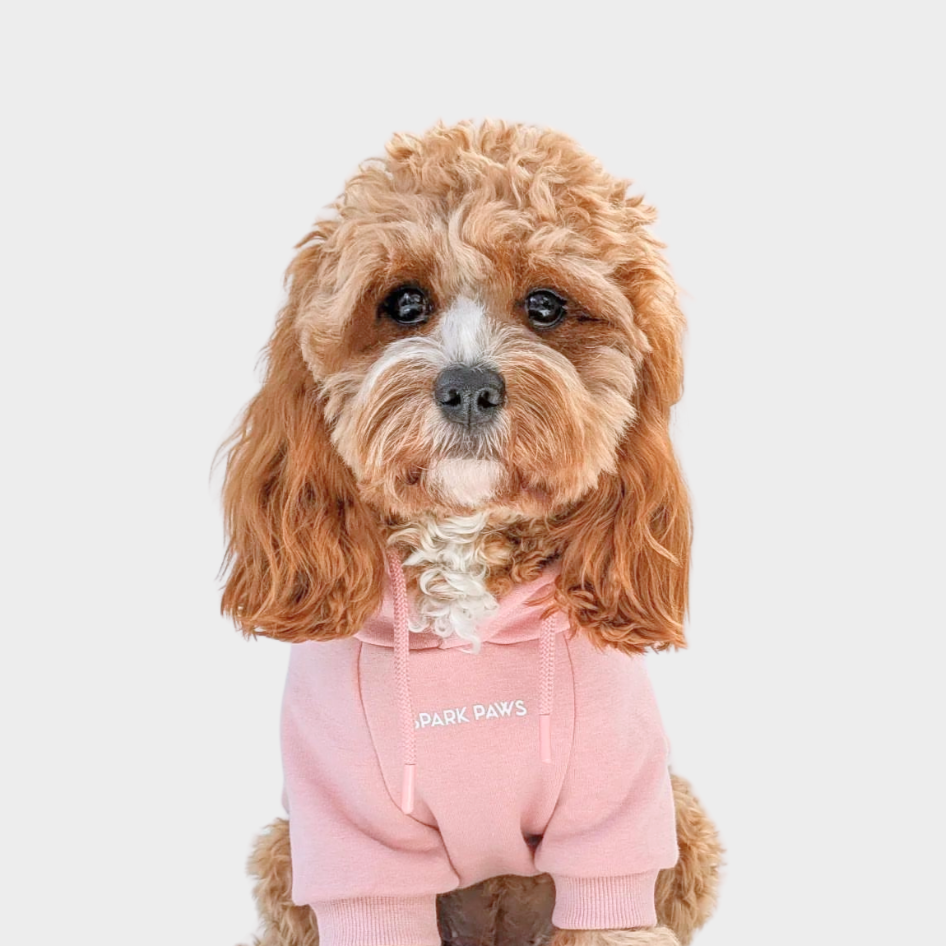 Essential Dog Hoodie - Dusty Pink - Image 2