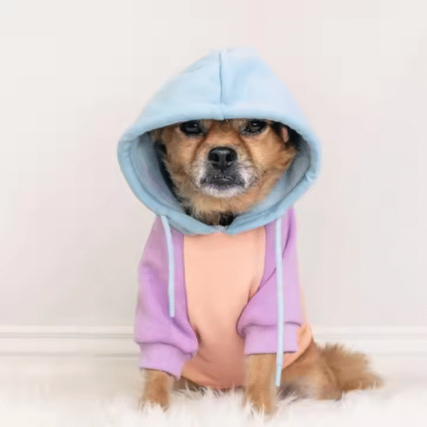 Cotton Candy Dog Hoodie - Image 10