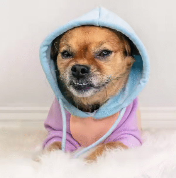 Cotton Candy Dog Hoodie - Image 9