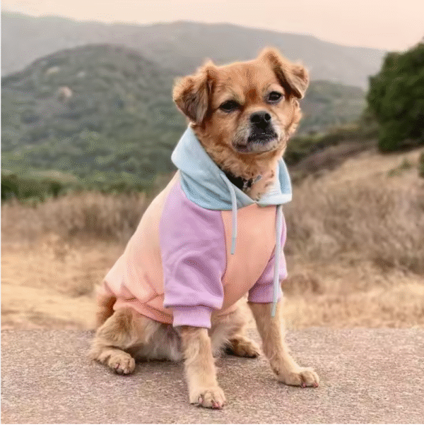 Cotton Candy Dog Hoodie - Image 8