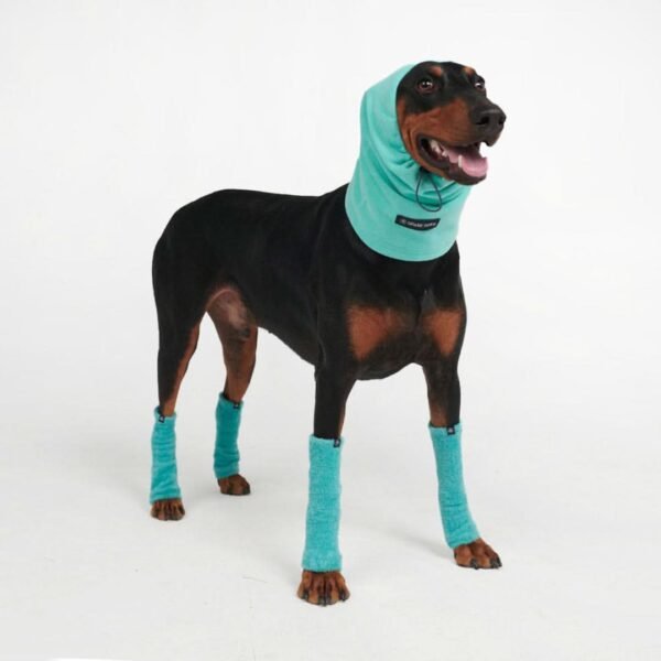 Anxiety Calming Dog Earmuff Protector - Turquoise - Image 2