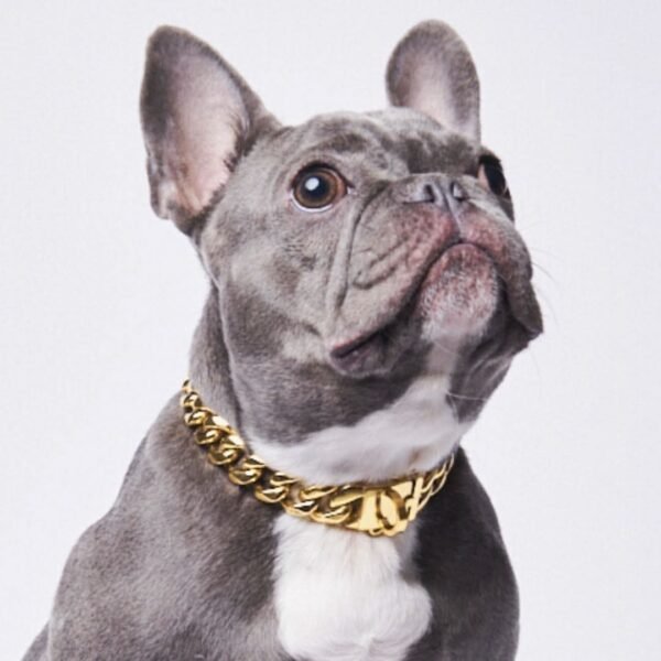 Cuban Link Chain Dog Collar - Gold - Image 2