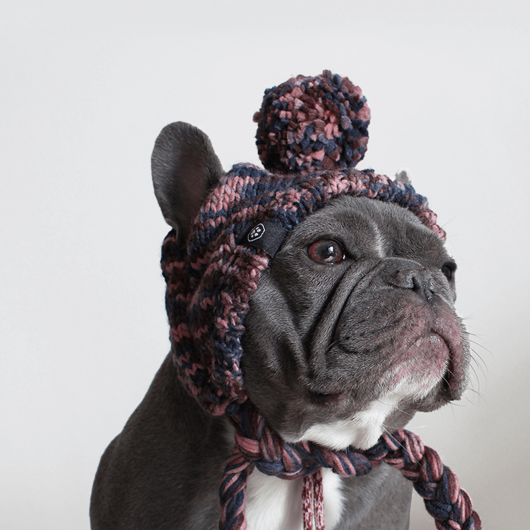 Knit Pom Pom Dog Beanie Hat - Chestnut - Image 2