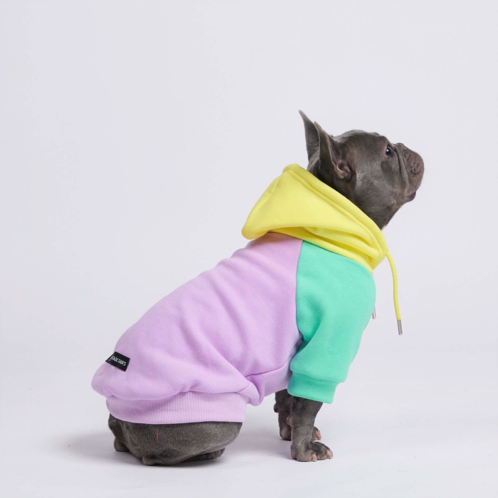 Purple Turquoise Yellow Dog Hoodie (SIZE S) - Image 5