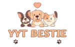 YYTbestie