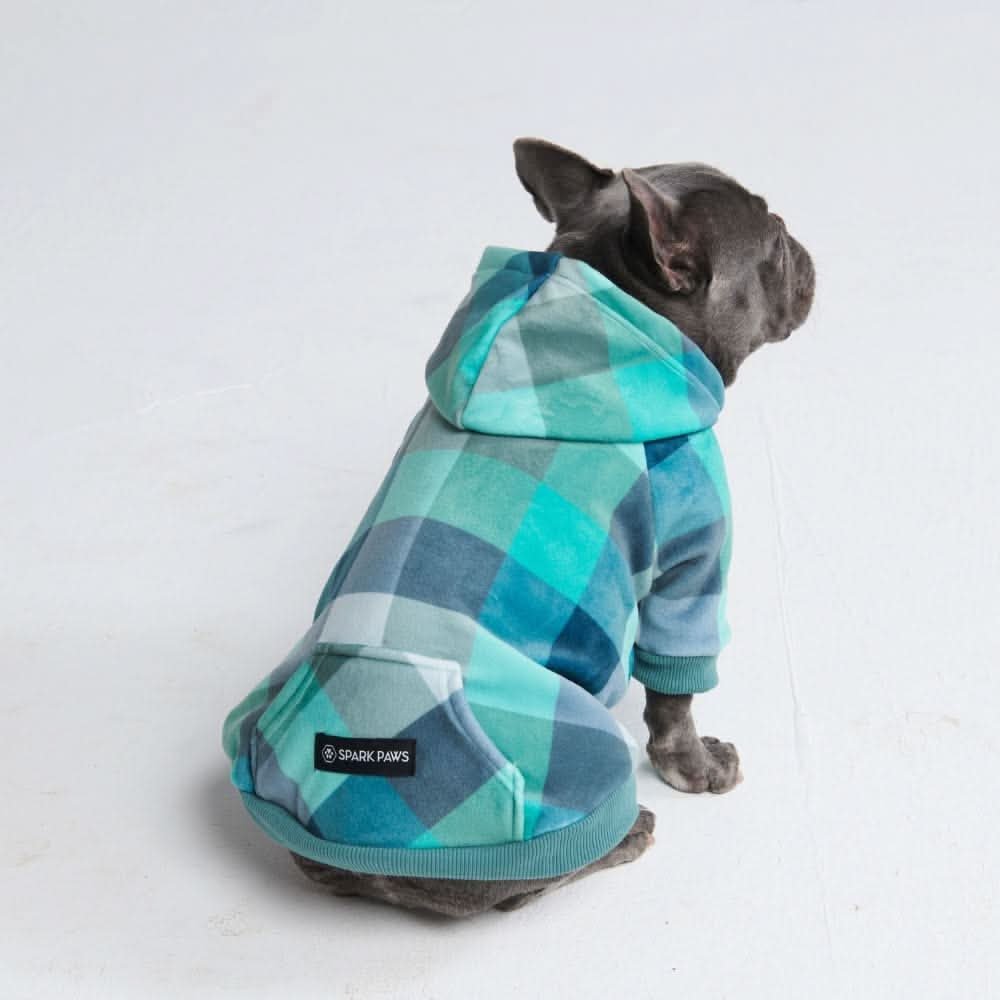 Velvet Dog Hoodie - Turquoise Checkered - Image 3