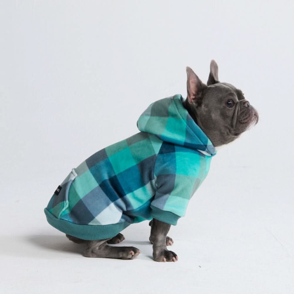 Velvet Dog Hoodie - Turquoise Checkered - Image 4