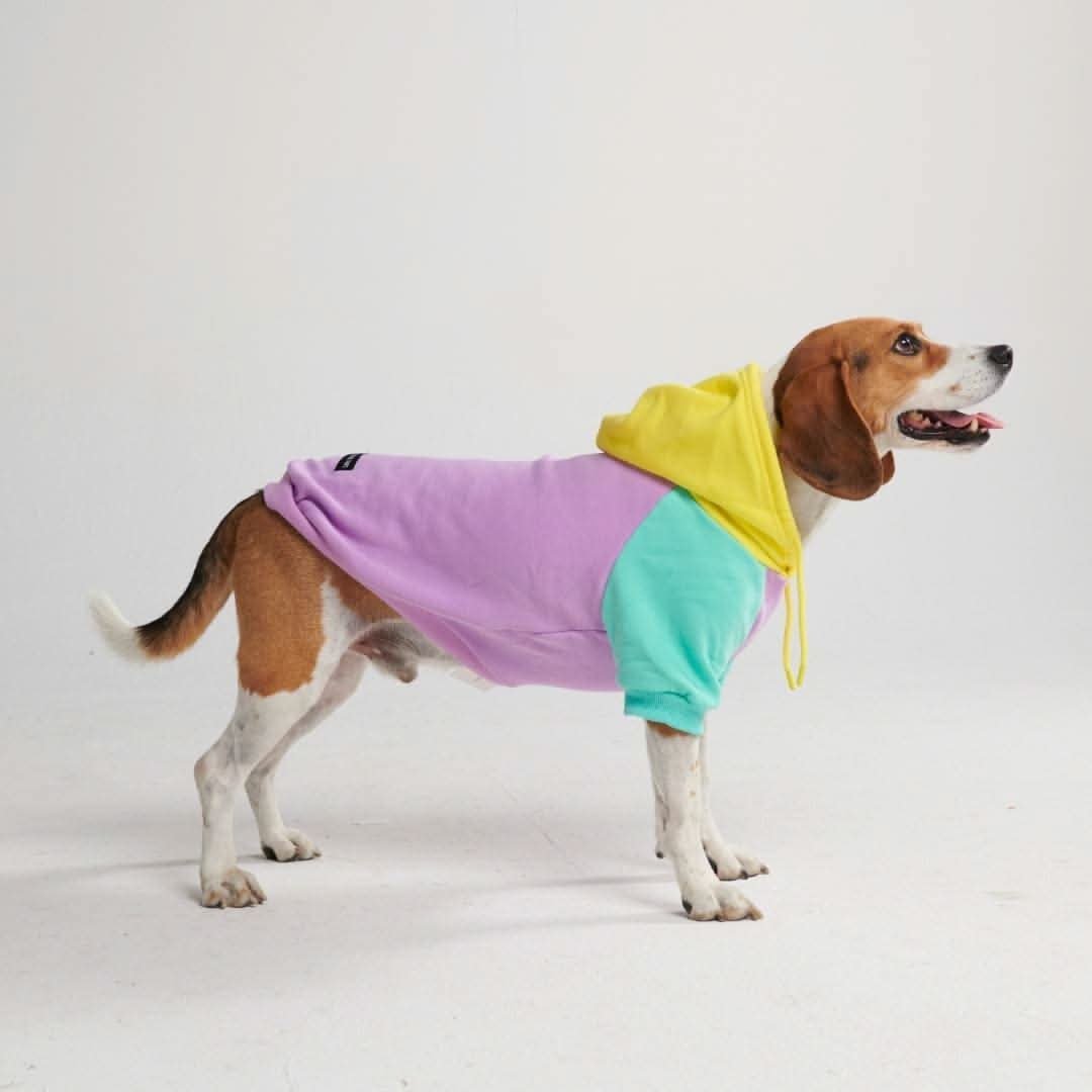 Purple Turquoise Yellow Dog Hoodie (SIZE S) - Image 3