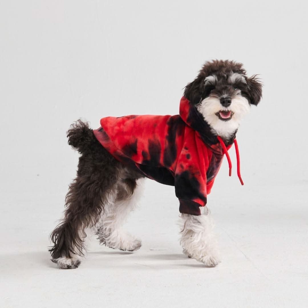 Velvet Dog Hoodie - Red & Black - Image 3