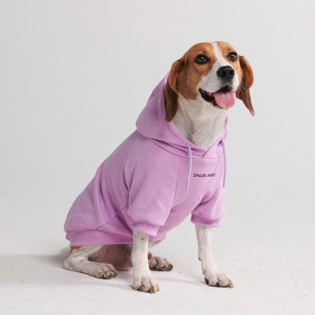 Essential Dog Hoodie - Orchid Purple - Image 3