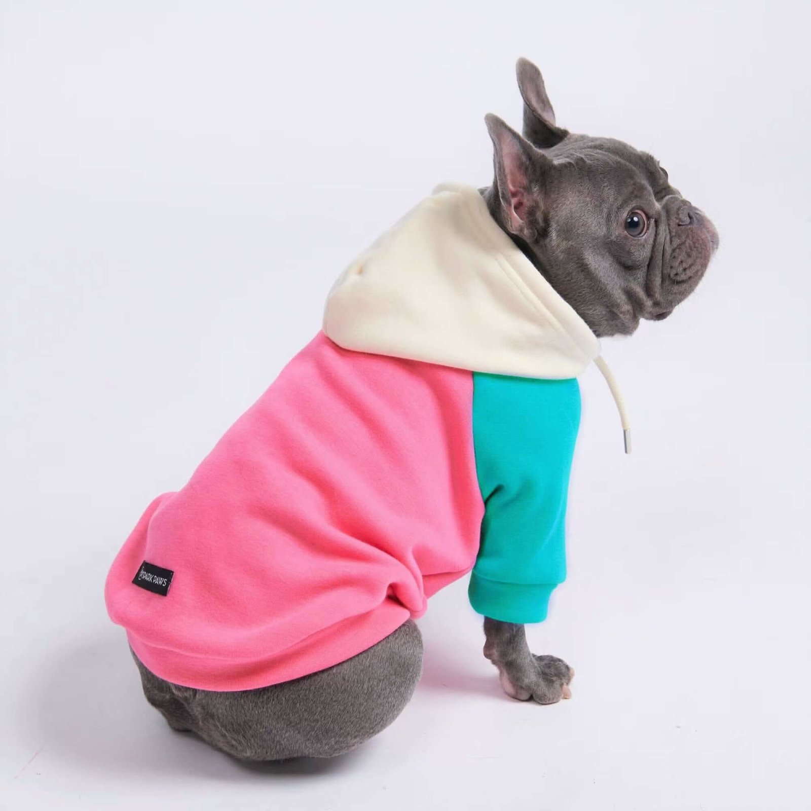 Pink Turquoise Cream Color Block Dog Hoodie - Image 4
