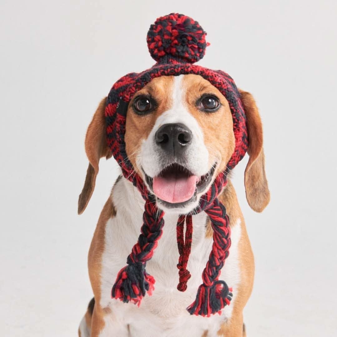 Knit Pom Pom Dog Beanie Hat - Red & Black - Image 2