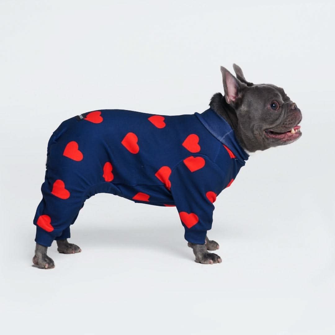 Dog Pajama - Hearts - Image 5