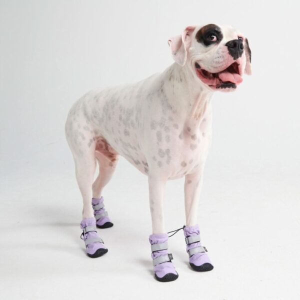 Flex Shell Water-resistant Dog Boots - Lilac - Image 6