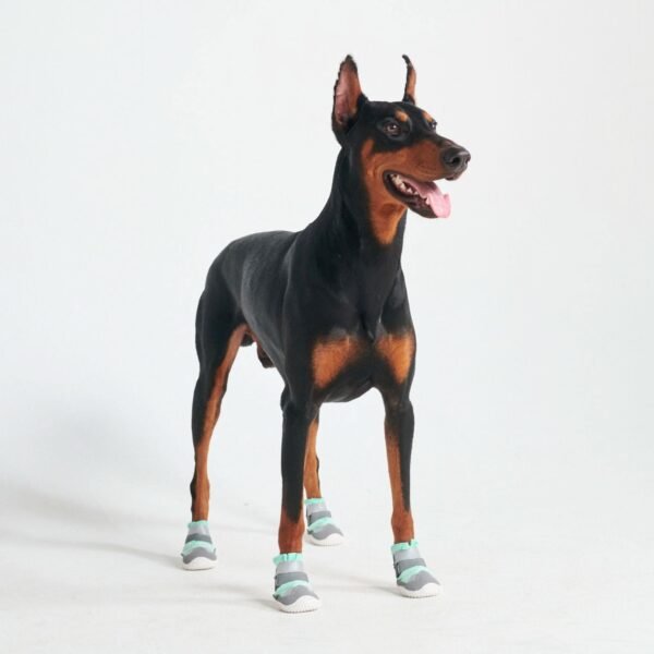 Hot Pavement Pawtector Dog Shoes - Teal - Image 4