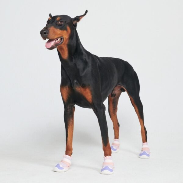Hot Pavement Pawtector Dog Shoes - Pink Purple - Image 6