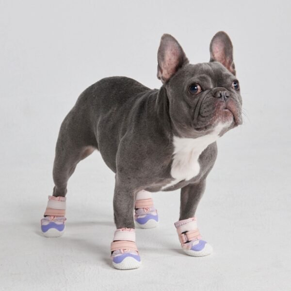 Hot Pavement Pawtector Dog Shoes - Pink Purple - Image 4
