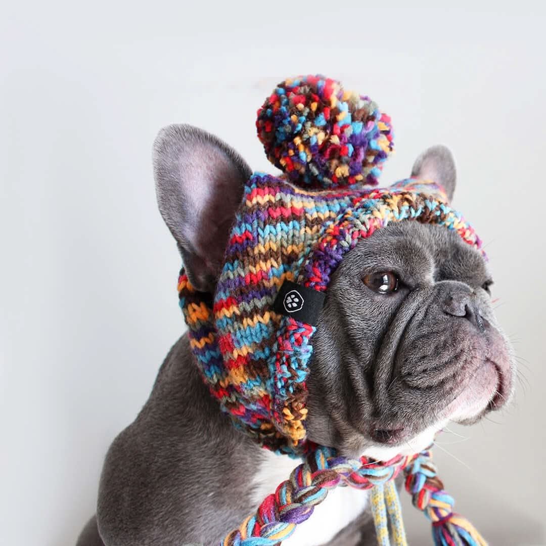 Knit Pom Pom Dog Beanie Hat - Kaleidoscope - Image 2