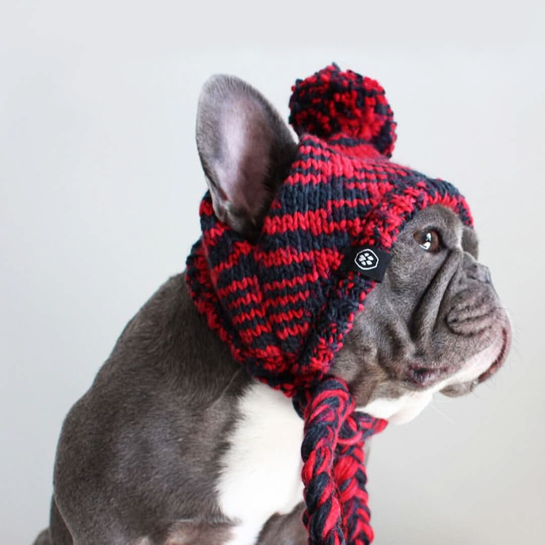 Knit Pom Pom Dog Beanie Hat - Red & Black - Image 4